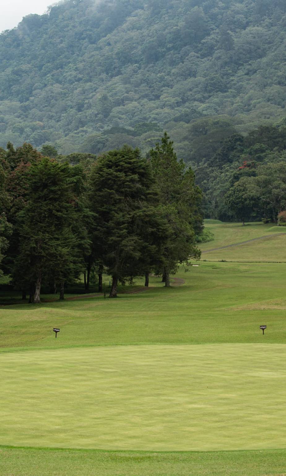GolfClub2